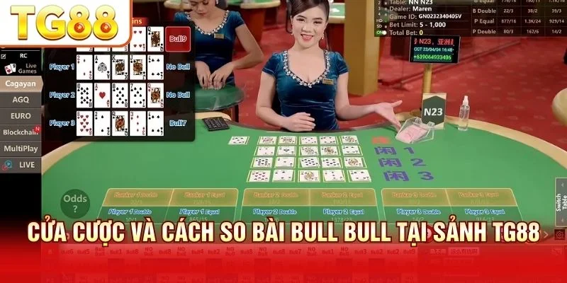 Các cửa cược tại TG88 gồm Player và Banker