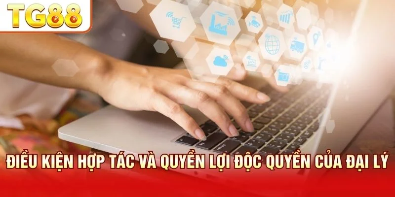 Quyền lợi đại lý bao gồm hoa hồng cao và hỗ trợ marketing 24/7