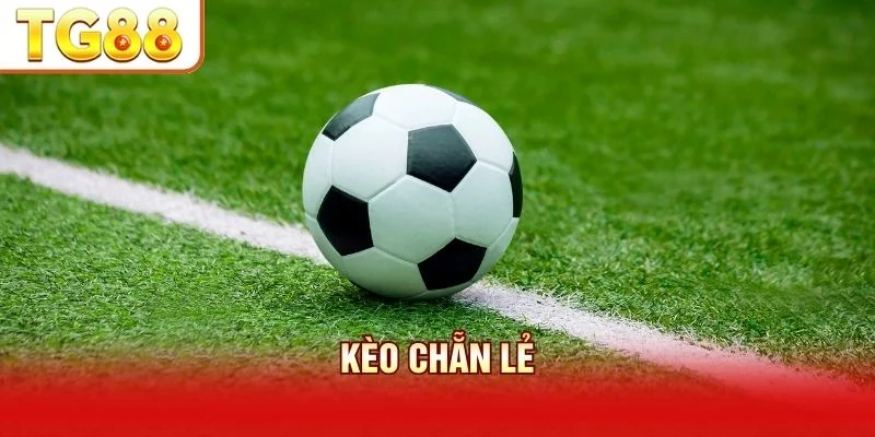 Kèo Chẵn Lẻ