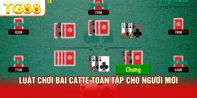Luật chơi bài Catte đòi hỏi logic và sự quan sát sắc bén